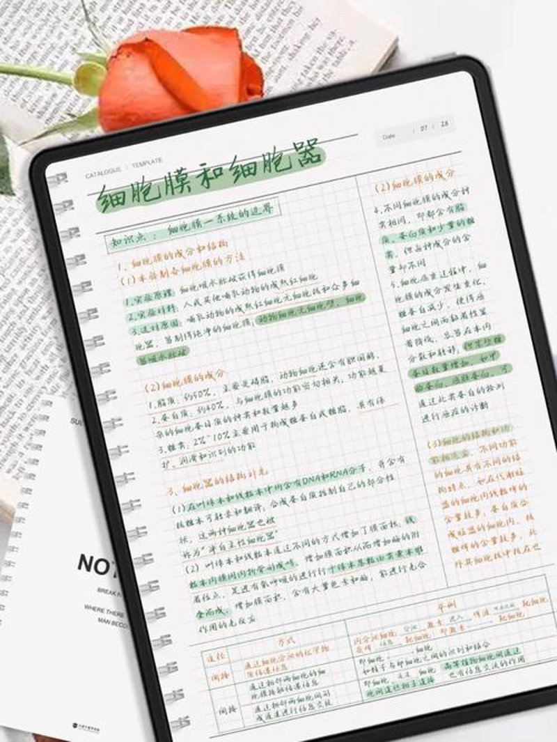 笔记分享——记录与成长的艺术