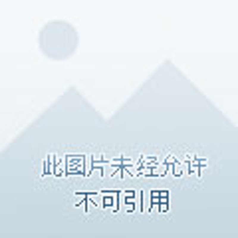 笔记神器：免费软件让你轻松管理知识